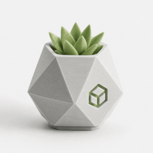 3D Print